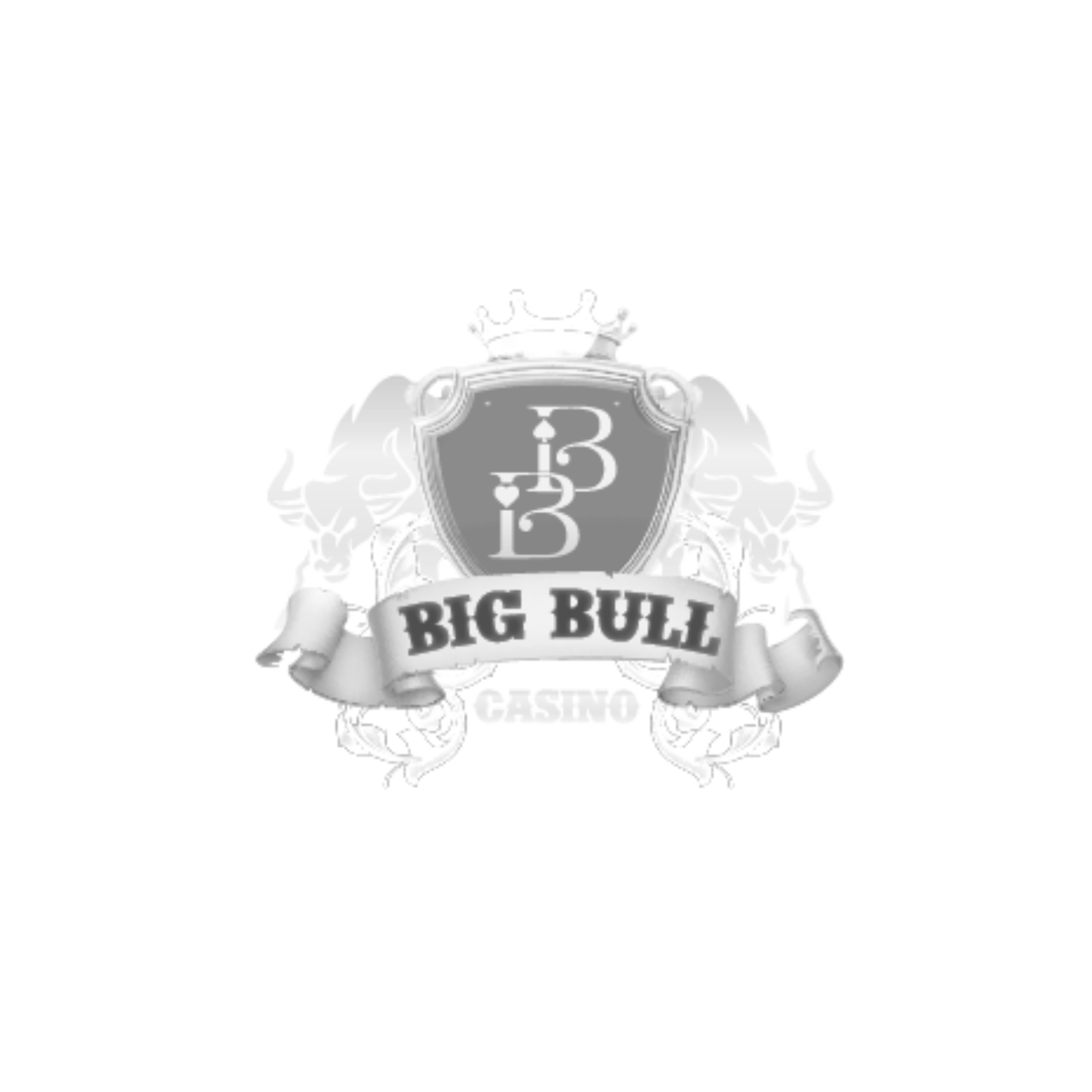 BigBullCasinoLogopng